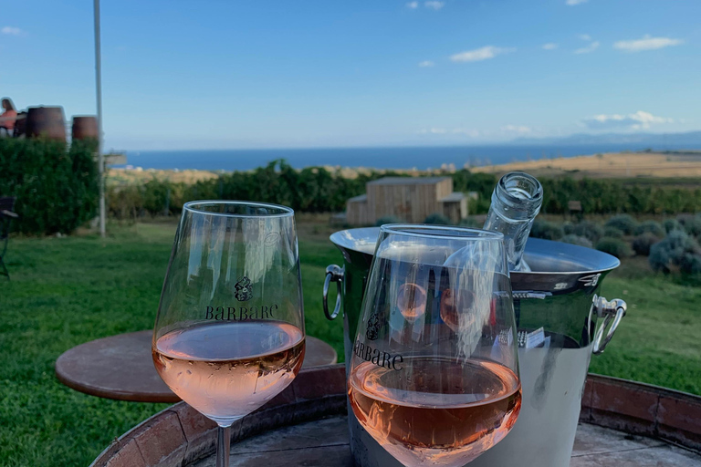 Exclusive Saint-Honorat Monk's Wine Experience from Cannes