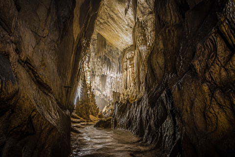 Guizhou: Zhijin Cave Entry Ticket & Sightseeing Shuttle Zhijin Cave: Admission + Shuttle + Safety Support