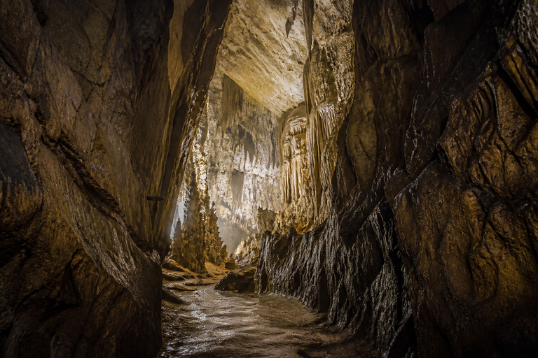 Guizhou: Zhijin Cave Entry Ticket & Sightseeing Shuttle Zhijin Cave: Admission + Shuttle + Safety Support