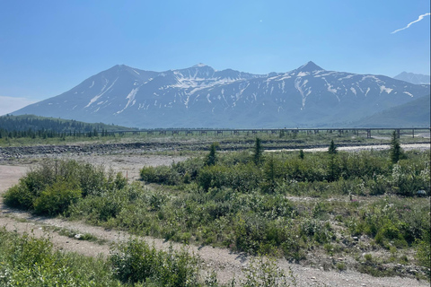Glacial Lake, Waterfall and rainforest. Beauty of Turnagain!