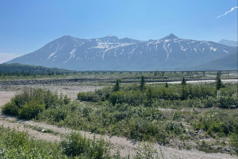 Glacial Lake, Waterfall and rainforest. Beauty of Turnagain!