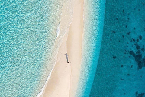 Zanzibar: Prison Island and Nakupenda Sandbank with Lunch Shared Prison island Tour without Prison Island