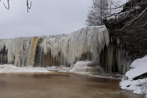 Da Tallinn: Tour delle cascate e dei picnic di Jägala