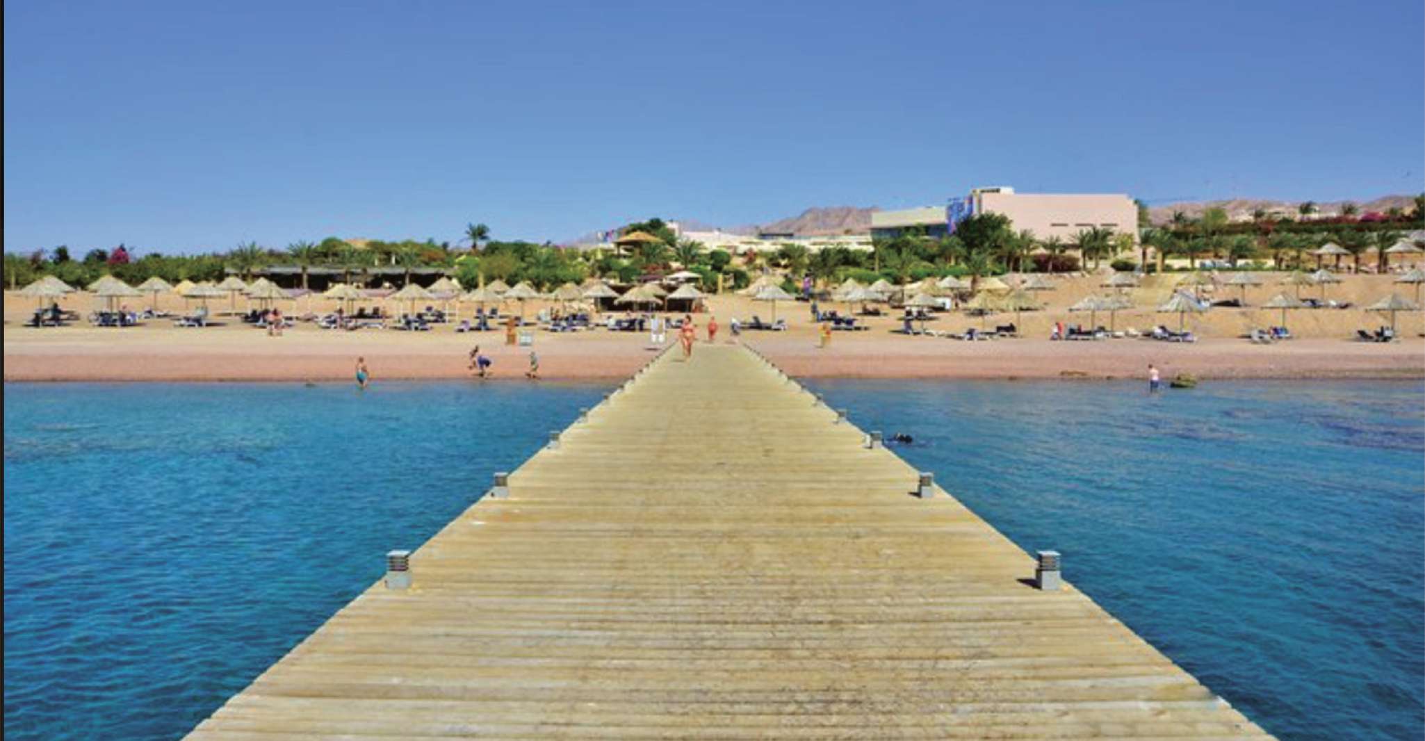 Barco de vidro & snorkeling com uso do dia de Berenice Beach Club - Hizvo