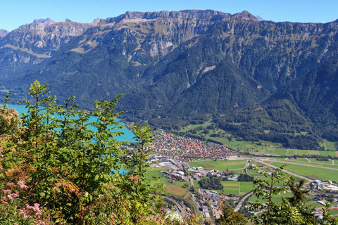 Vanuit Zürich: Privétour met de auto door Interlaken en Grindelwald