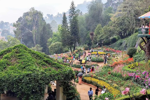 Kerala: Kochi, Munnar, Alleppey & Trivandrum Multi-Day Tour From Kochi: 7 Days Private Tour (All Inclusive)