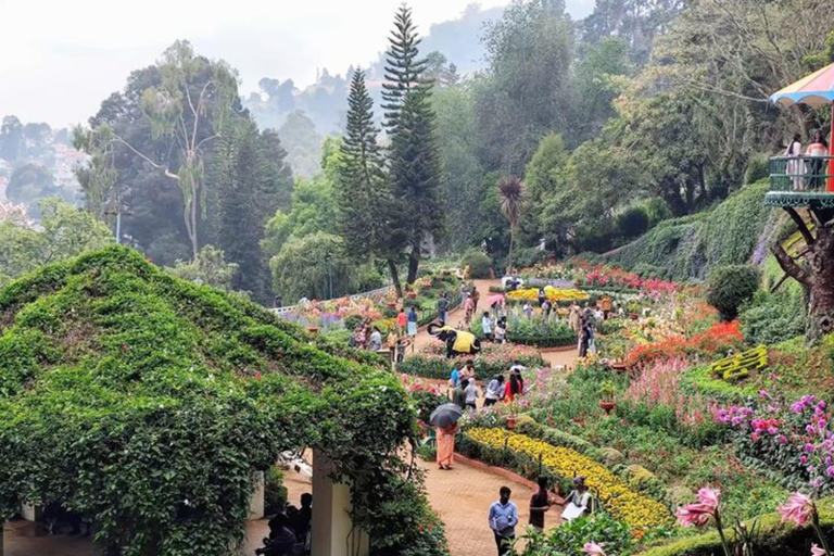 Kerala: Kochi, Munnar, Alleppey & Trivandrum Multi-Day Tour From Kochi: 7 Days Private Tour (All Inclusive)