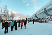 Desde Fairbanks, Arctic Circle Northern Lights Trip de día completo - Housity