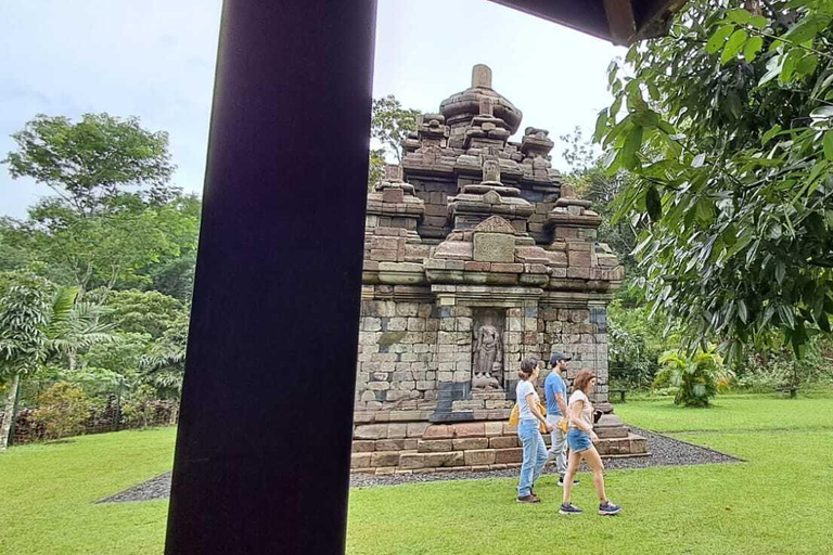 Yogyakarta : Java Rijst Terras Trek &amp; Selogrio Tempel Tour