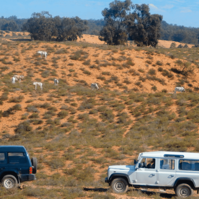 Agadir ou Taghazout Souss Park Animaux sauvages - Hizvo