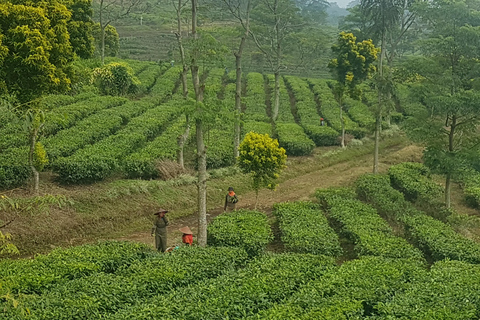 The Breathtaking Views Of The Countryside In Bandung