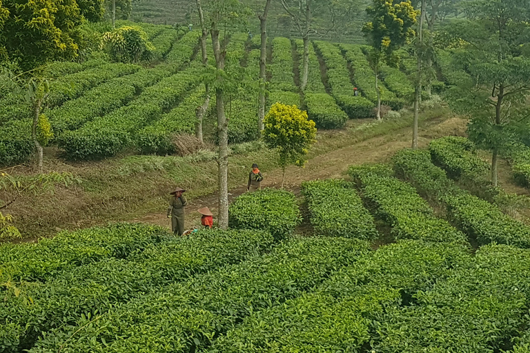 The Breathtaking Views Of The Countryside In Bandung
