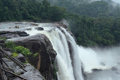 Kochi: Athirappilly Waterfalls & Fort Kochi Full Day Tour