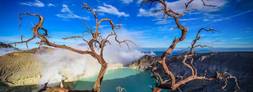 Banyuwangi : Mt Ijen, Blue Fire & Panoramic avec guide de la région