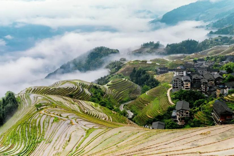 Guilin: Longji Terraces, Yao Village, & Pingan join in Tour
