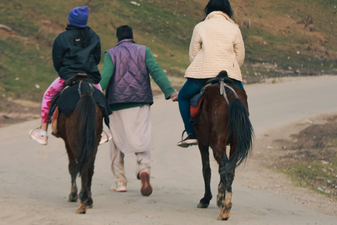 Azores: Scenic Horseback Ride with Coastal Views