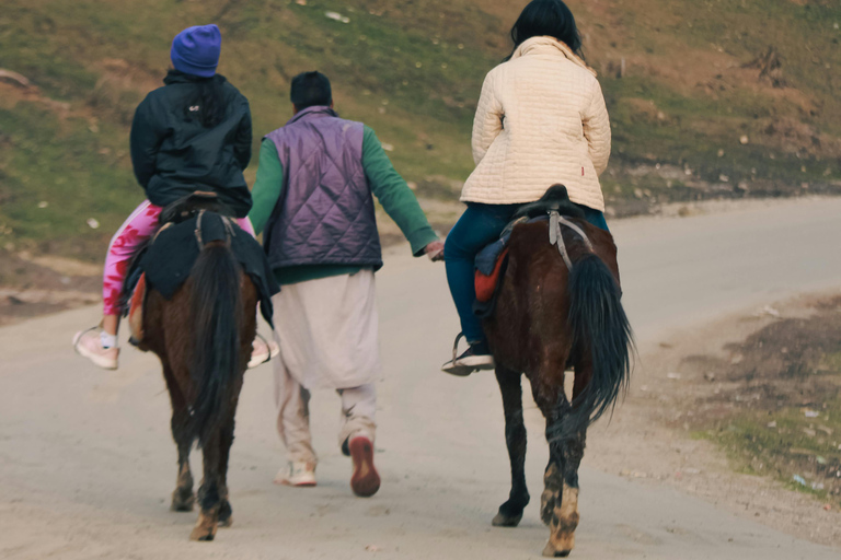 Azores: Scenic Horseback Ride with Coastal Views