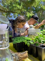 Terrarium Workshop - Housity