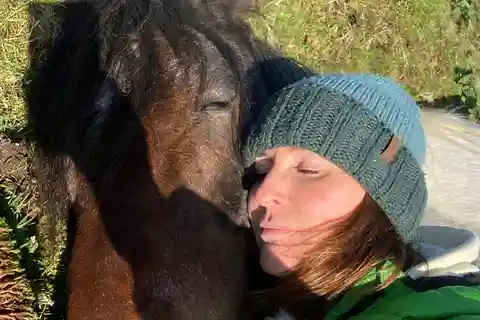 Meditate With Heavy Horses in the Lake District