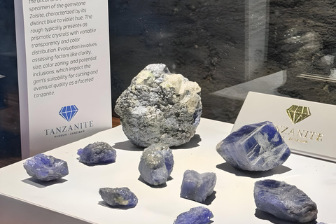 زنجبار: تذكرة دخول متحف التنزانيت ومتجر المجوهراتجولة مع نقطة الالتقاء في مبنى الحصن القديم