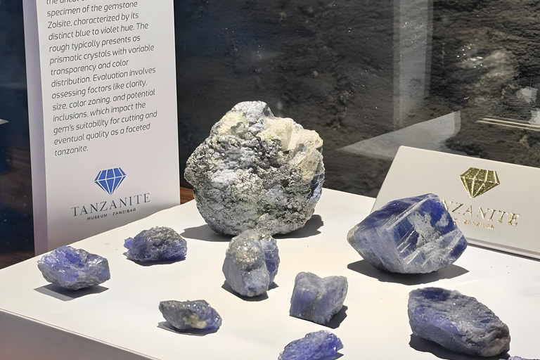 زنجبار: تذكرة دخول متحف التنزانيت ومتجر المجوهراتجولة مع نقطة الالتقاء في مبنى الحصن القديم