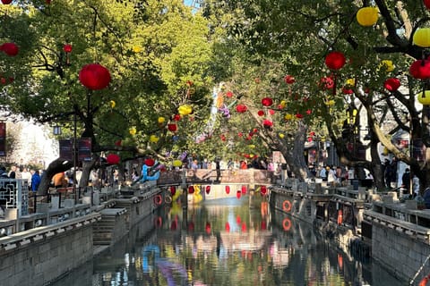 From Shanghai: Huishan Ancient Town & Nianhua Bay Day Trip