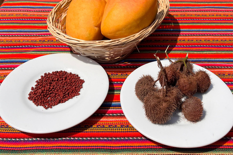 De Ica ou Huacachina: Pisco, vinho e buggy ao pôr do sol