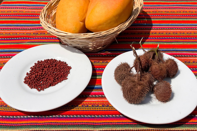 De Ica ou Huacachina: Pisco, vinho e buggy ao pôr do sol