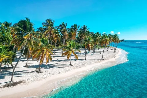 Bayahibe: Cruzeiro de Catamarã na Ilha Saona com Piscina Natural
