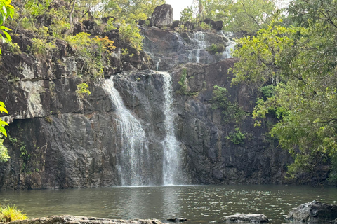 Airlie Beach: Skytteltrafik tur och retur till Cedar Creek FallsAirlie Beach: Transferservice tur och retur till Cedar Creek Falls