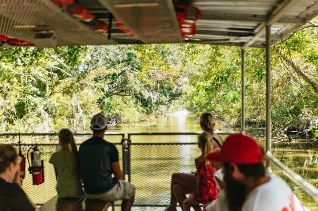 Visit New Orleans Bayou Tour in Jean Lafitte National Park in Luisiana