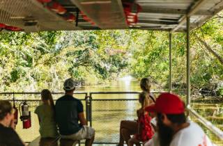 New Orleans: Bayou Tour im Jean Lafitte National Park