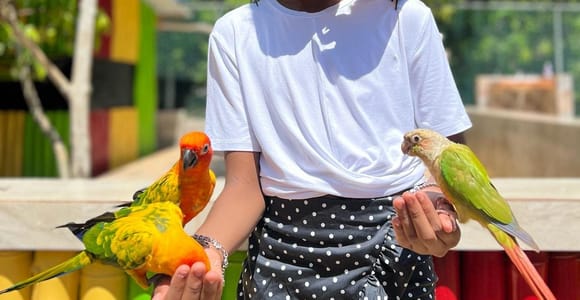 Montego Bay: Marijuana Farm and Bird Sanctuary Tour