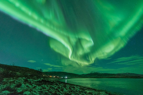 Tromsø: Polowanie na zorzę polarną ze zdjęciami i gorącym jedzeniem