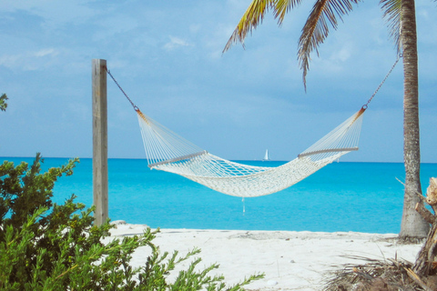 Negril: VIP Jamaica Airport Welcome Experience