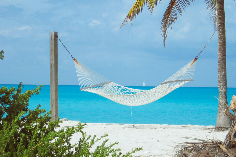 Negril: VIP Jamaica Airport Welcome Experience