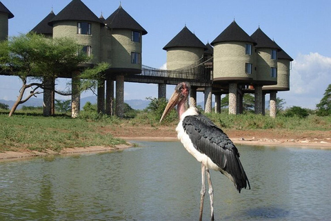 Tsavo East and Salt Lick Safari Lodge 2-Day Tour
