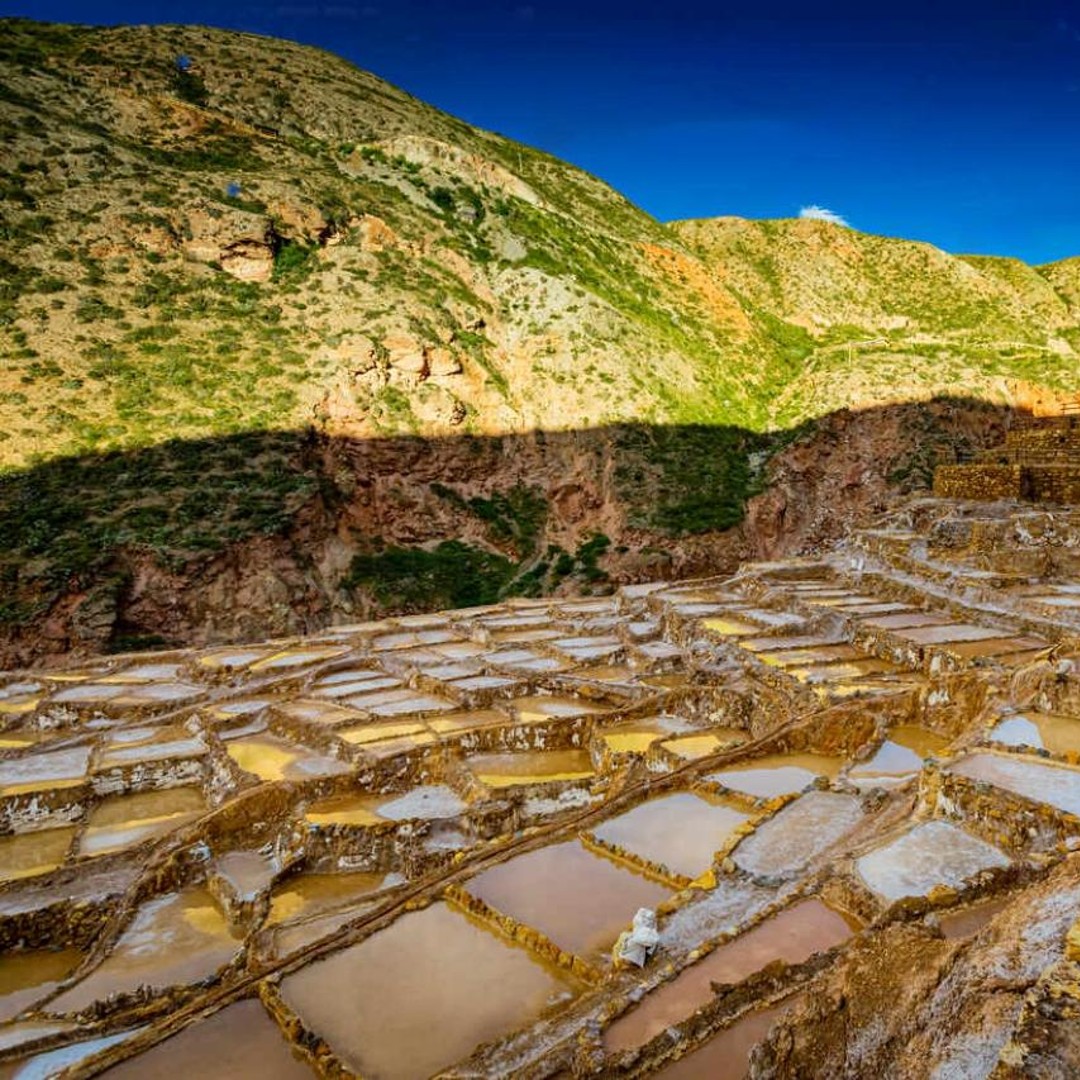 Galería de fotos para redes
