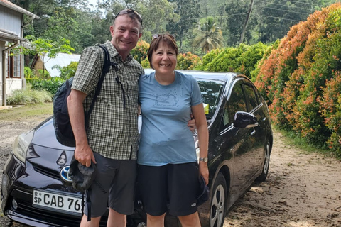 Bentota/Mirissa/Hiriketiya/Tangalle: Ella Scenic Day Tour Udawalawe Elephant Transit Home & Ella Day Tour