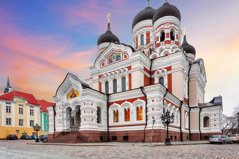 Shore Excursion in Tallinn