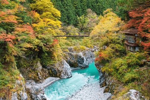 Tokyo: Okutama Day Trip with Hatonosu Gorge