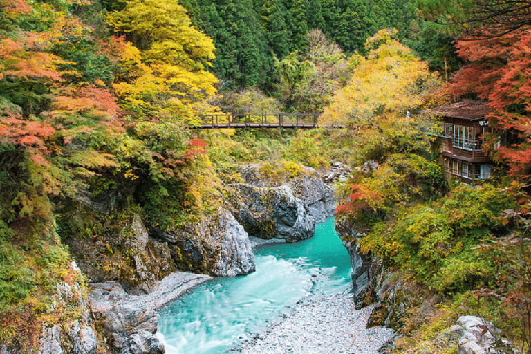 Tokyo: Okutama Day Trip with Hatonosu Gorge