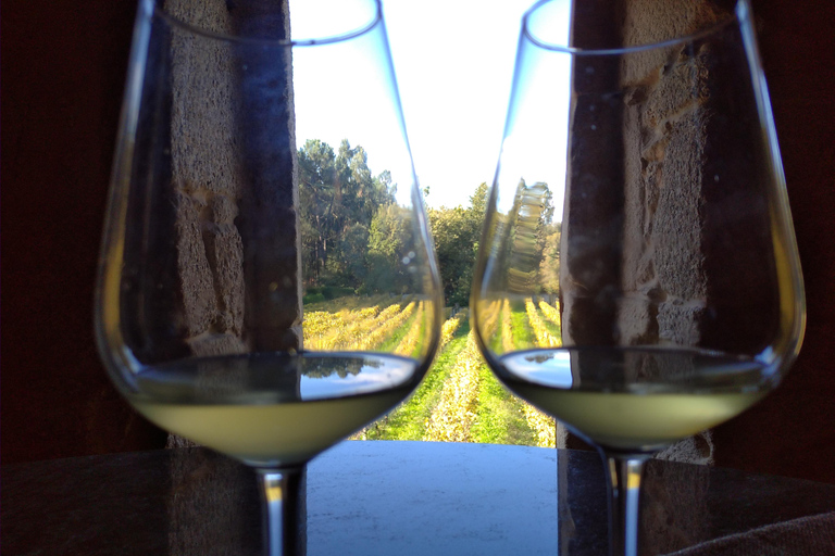 Galicia: Bodega Corisca Winery Tour and Wine Tasting