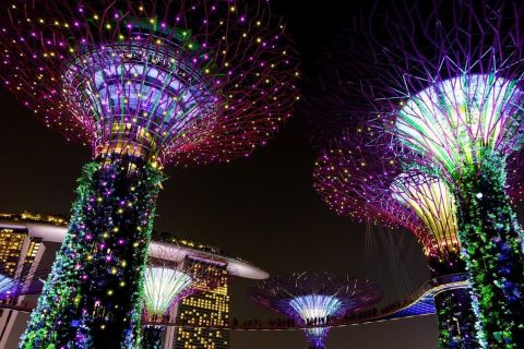 Из порта Харборфронт: индивидуальный индивидуальный тур по Сингапуру