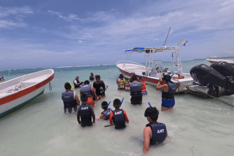 Tulum: Ruins, Cenotes, Turtle Swim, and Lunch Tour