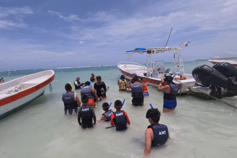 Tulum: Ruins, Cenotes, Turtle Swim, and Lunch Tour