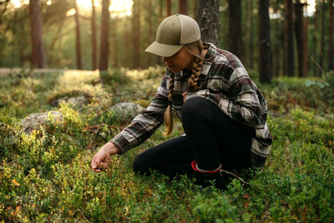 Saariselkä: excursión a los tesoros del bosque con almuerzo al aire libreSaariselkä: Excursión a los tesoros del bosque con almuerzo al aire libre
