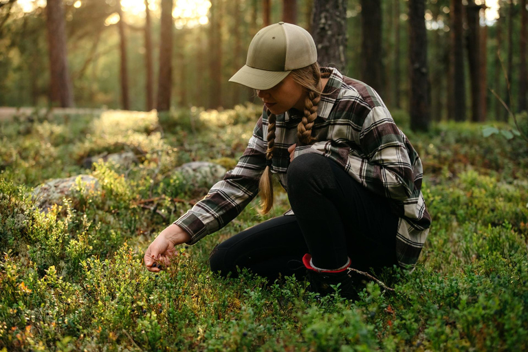 Saariselkä: excursión a los tesoros del bosque con almuerzo al aire libreSaariselkä: Excursión a los tesoros del bosque con almuerzo al aire libre