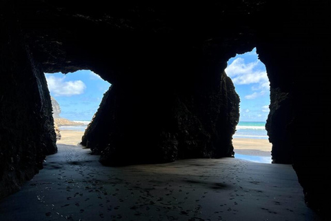 Private Auckland Natural Caves and Tunnels TourAuckland Natural Caves and Tunnels Tour