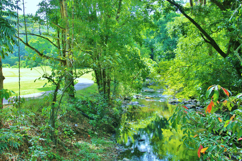 Subic: Day Golf Entry